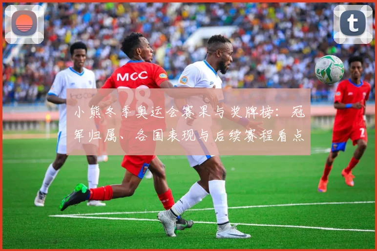 小熊冬季奥运会赛果与奖牌榜:冠军归属、各国表现与后续赛程看点