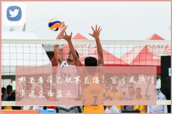 哪里看荷乙联赛直播？官方及热门渠道全面盘点