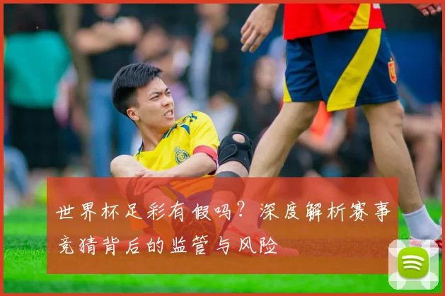 世界杯足彩有假吗？深度解析赛事竞猜背后的监管与风险