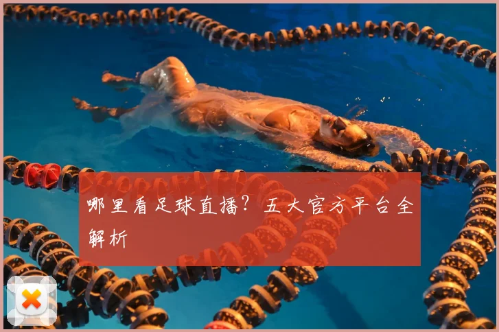 哪里看足球直播？五大官方平台全解析